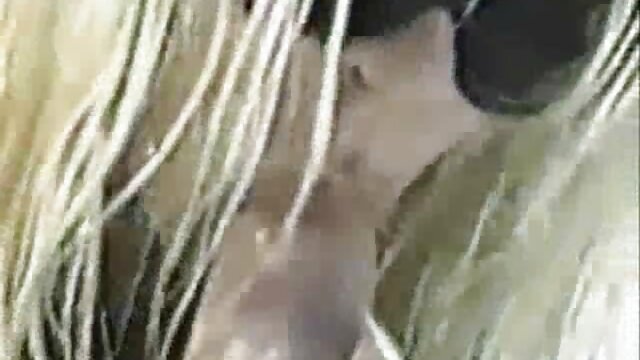 Big tit Roxetta consiguió cexo anal que su culo trabajara horas extras